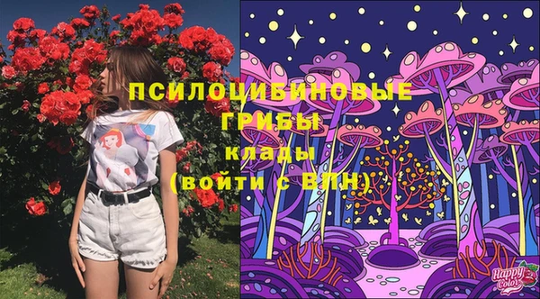 прущая мука Богородицк