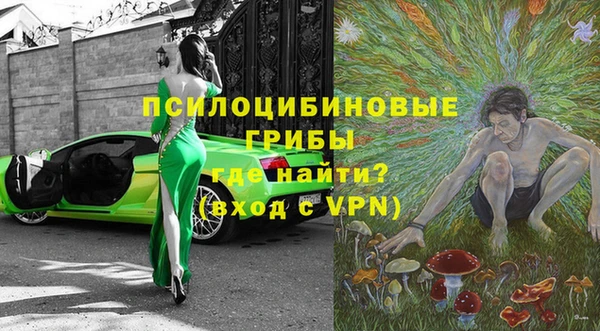 прущая мука Богородицк