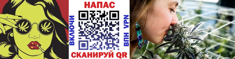 Конопля VHQ  цена   Пионерский 